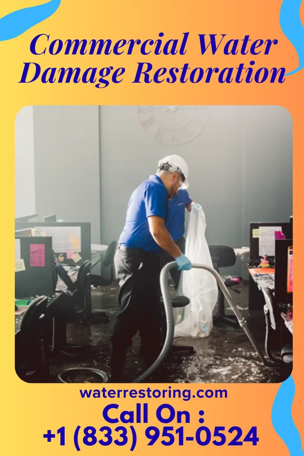 Commercial Water Damage Restoration in Baldwin City, KS